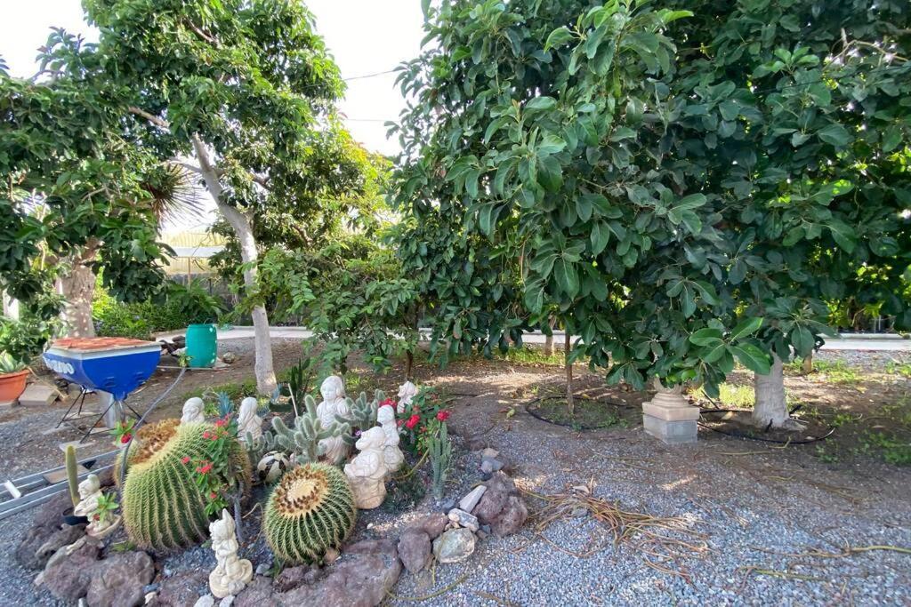 2 Apartments With Private Pool At Villa Diaz Aleman Salobre  Zewnętrze zdjęcie